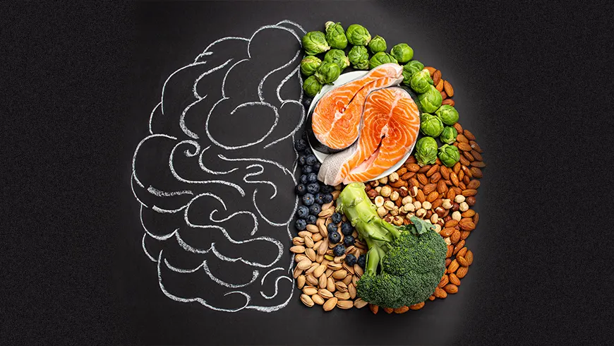 Brain-Gut Health Connection and Your Gut