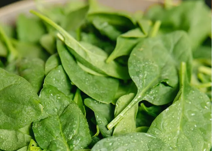 Spinach and Magnesium Essential Diet Boca Raton Dietitian
